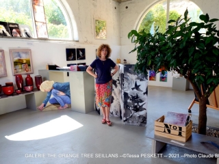 Photographe Claude Burillon : Galerie ORANGE TREE SEILLANS -- Tessa PESKETT -- Août 2021